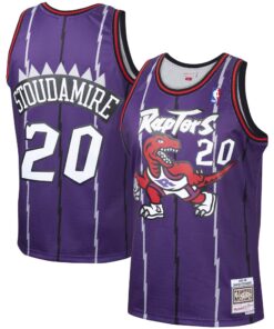 Damon Stoudamire Toronto Raptors Mitchell &amp Ness 199596 Hardwood Classics Swingman Jersey - Purple