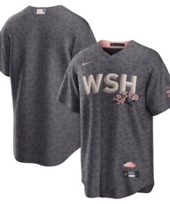 Washington NationalsCity Connect Replica Team Jersey  Gray
